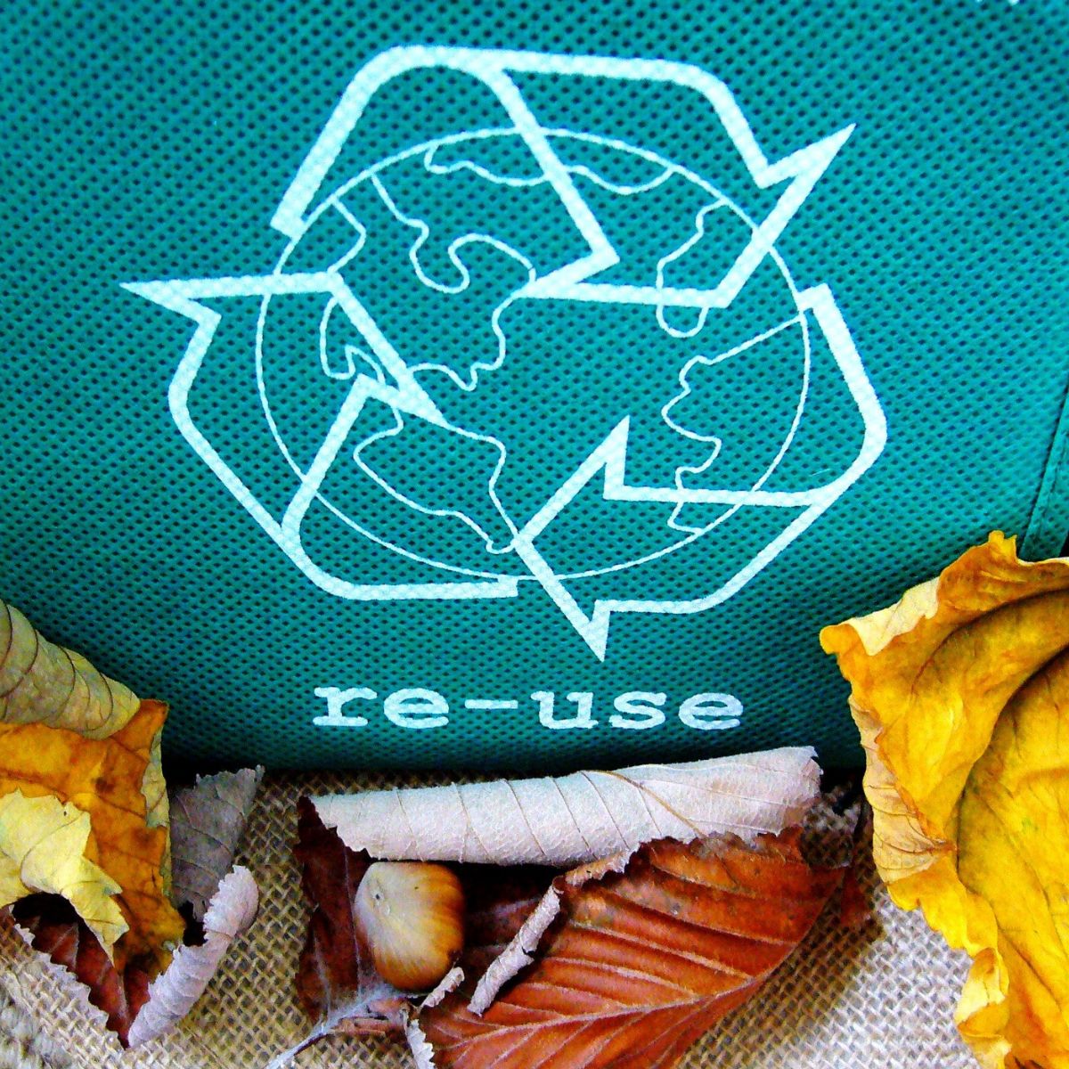 10 bonnes raisons d’adopter la reconsommation