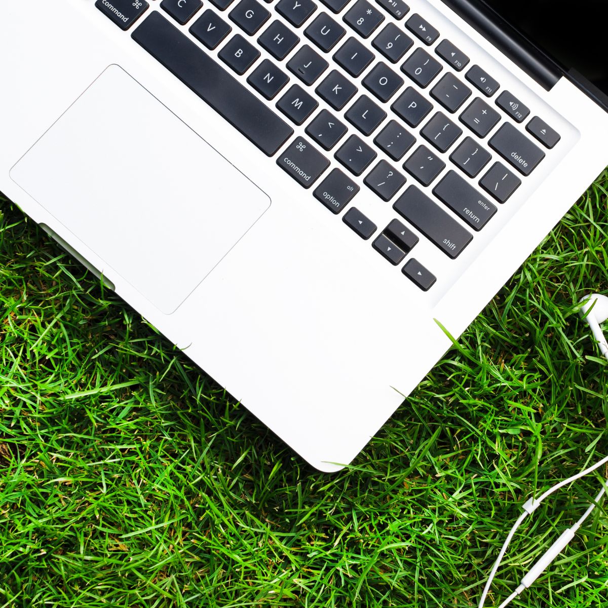 Après le Black Friday, bienvenue au Green Friday